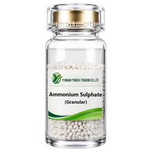 Ammonium Sulphate - Caprolactam-Grade（Granular）