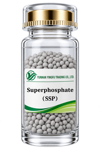 Single Superphosphate (SSP）