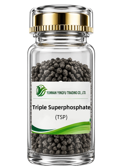 Triple Superphosphate（TSP)