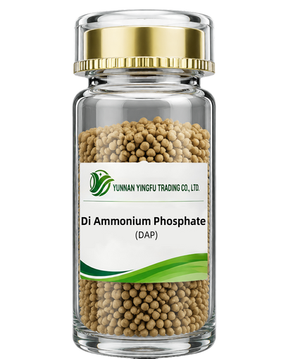 Di ammonium Phosphate（DAP）