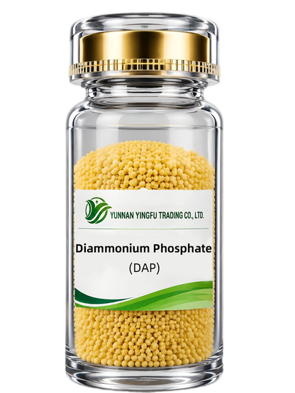 Di ammonium Phosphate（DAP）